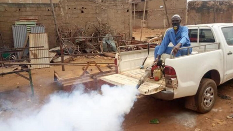 Dengue au Mali : symptômes, prévention et épidémie en cours