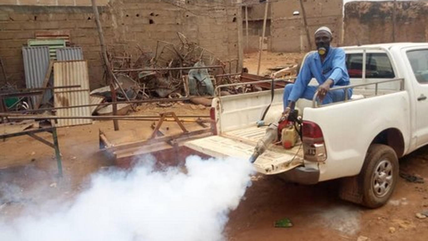 Dengue au Mali : symptômes, prévention et épidémie en cours