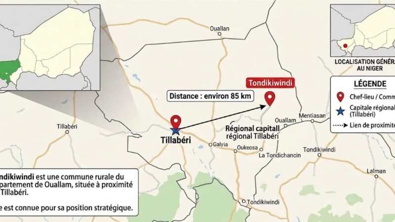Niger : Drame à Tondikiwindi, une frappe de drone tue des civils