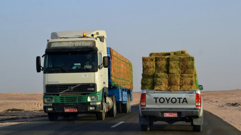 N&rsquo;Djamena modernise les corridors Cameroun-Tchad-rca pour booster l&rsquo;économie régionale