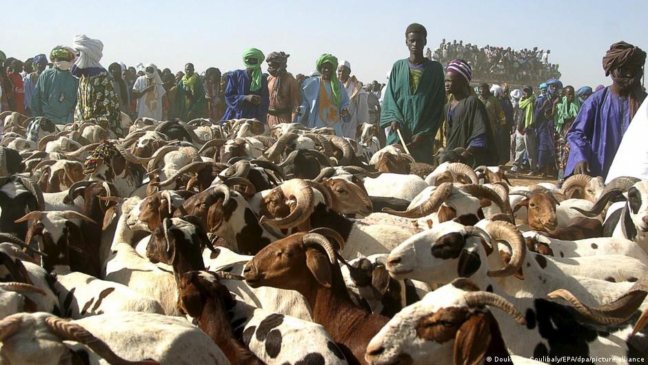 Tabaski au Mali : l&rsquo;armée sécurise l&rsquo;acheminement des moutons vers Bamako