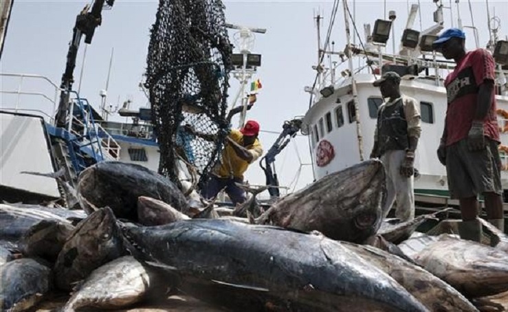 Sénégal : quatre licences de pêche pour booster l&rsquo;offre locale de poissons