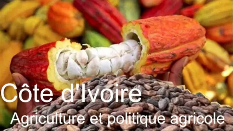 Côte d&rsquo;Ivoire : enjeux et défis de la politique agricole