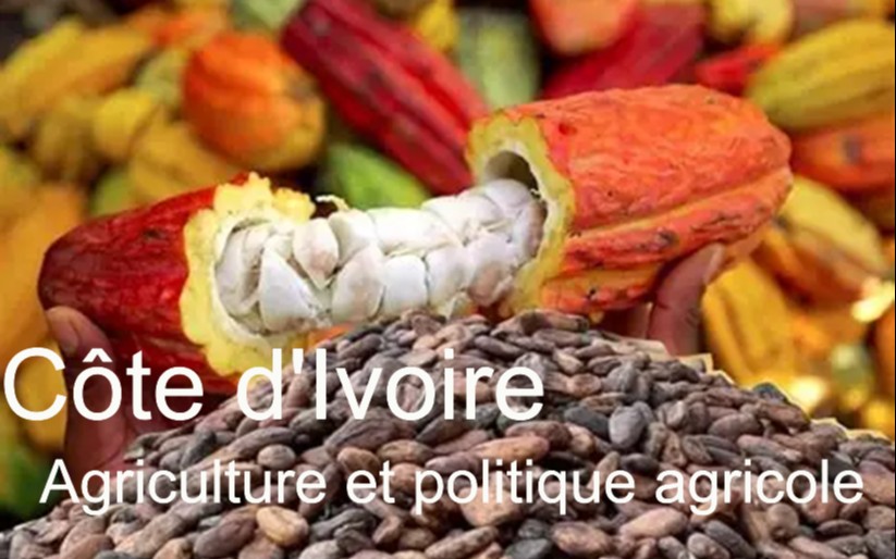 Côte d&rsquo;Ivoire : enjeux et défis de la politique agricole