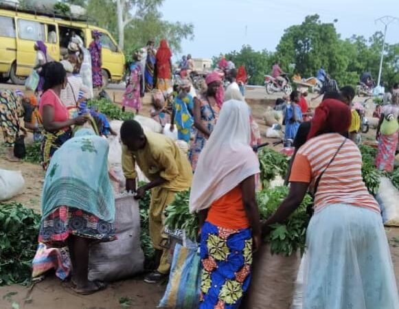 N’djamena face à ses défis : pauvreté et désordre urbain, une équation complexe