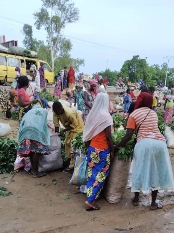 N’djamena face à ses défis : pauvreté et désordre urbain, une équation complexe