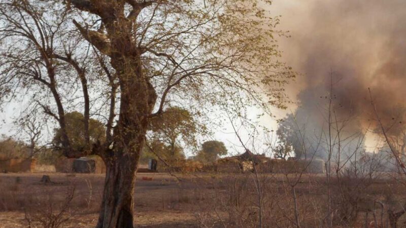Affrontements entre Boko Haram et la PAOEI pour la forêt de Sambisa