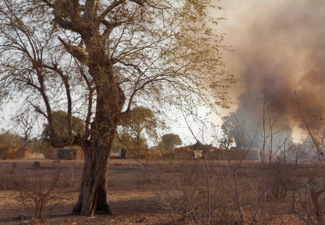 Affrontements entre Boko Haram et la PAOEI pour la forêt de Sambisa