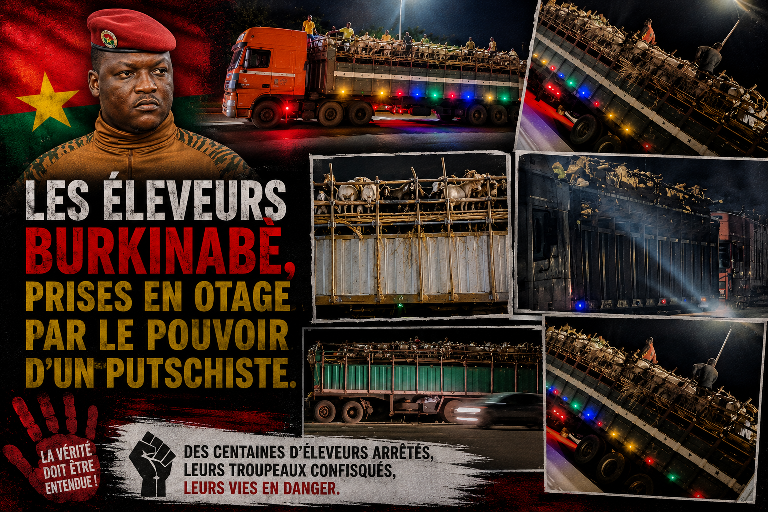 Burkina Faso : les éleveurs face à l&rsquo;impasse économique du régime d&rsquo;Ibrahim Traoré avant le Ramadan