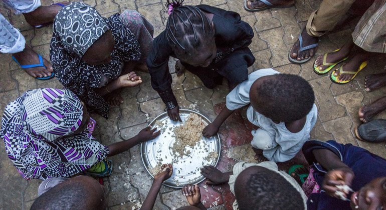 Crise alimentaire au Sahel : 55 millions de personnes en danger immédiat