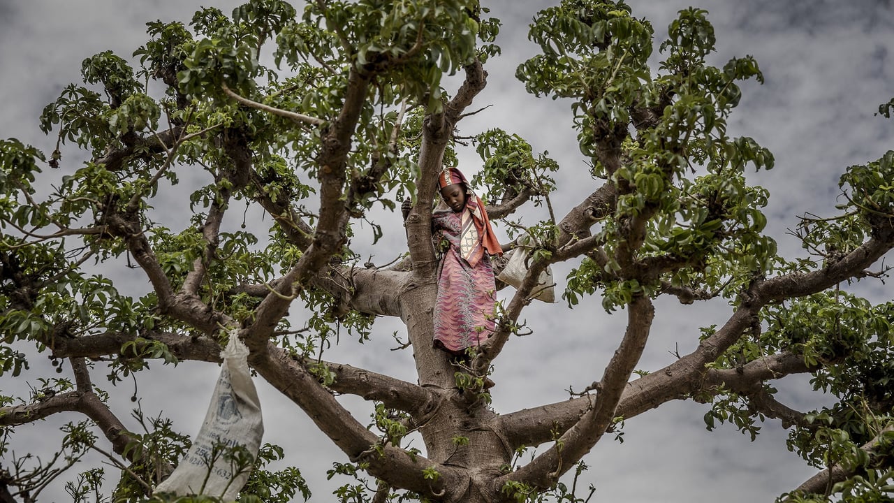 Le Niger face à une crise économique sans précédent : le quotidien de la survie