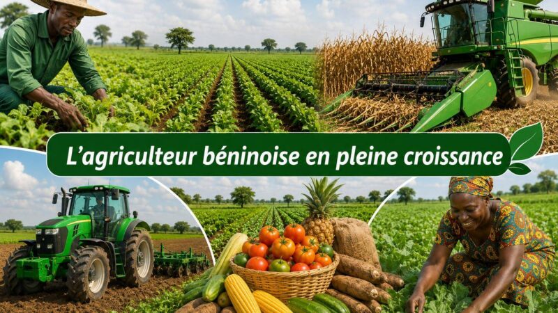 Bénin : l&rsquo;agriculture devient le moteur d&rsquo;une économie en pleine expansion