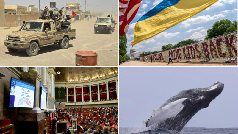 Alliance Jnim-FLA au Mali : analyse des enjeux et perspectives