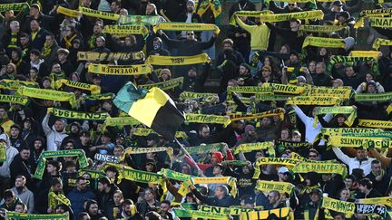 Supporters de Nantes sur la pelouse du stade de la Beaujoire
