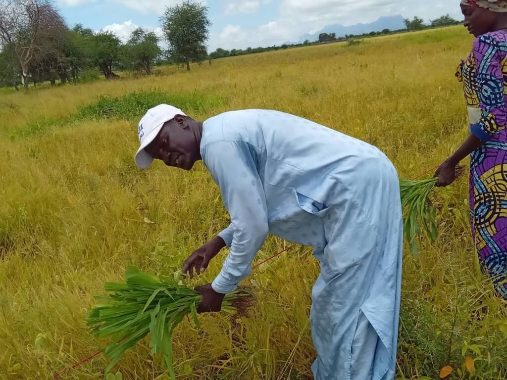 Younous Mahadjir, animateur communautaire, partage son expérience dans un champ école paysan au Tchad.