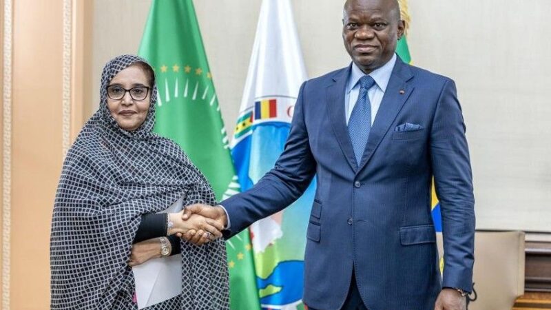 Francophonie : le Gabon au cœur des enjeux africains