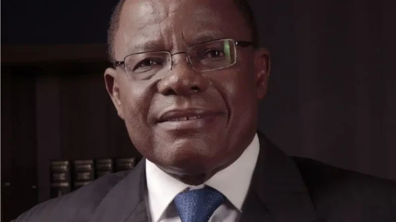 Maurice Kamto : le choix entre la soumission et l&rsquo;avenir