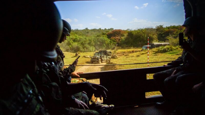Mali : des forêts sous contrôle militaire pour contrer le jihadisme