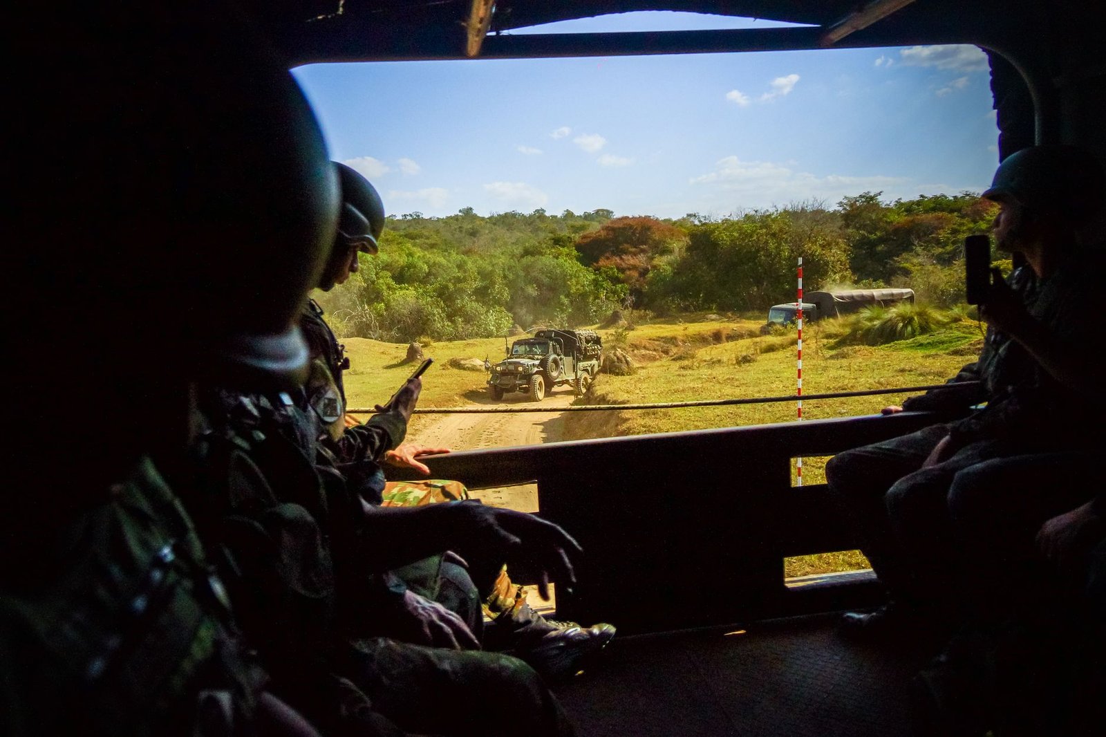 Mali : des forêts sous contrôle militaire pour contrer le jihadisme