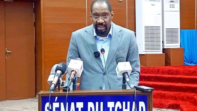 Tchad : mobilisation urgente contre les violences intercommunautaires