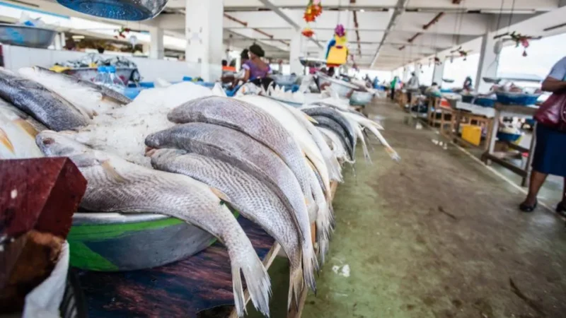 Gabon : le pacte de pêche avec l&rsquo;Union européenne n&rsquo;est pas renouvelé