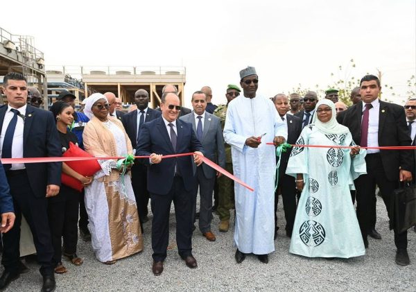 Alger offre une centrale électrique de 40 mw au Niger pour booster son réseau