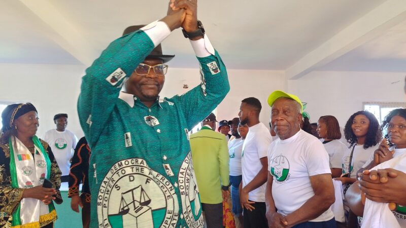Louis marie kakdeu nommé à la tête de la commission électorale du sdf