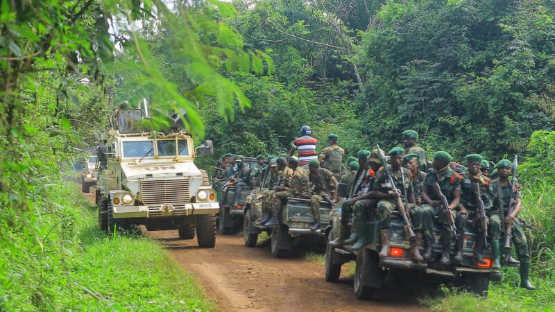 Massacres des adf en rdc : plus de 300 civils tués en 2026