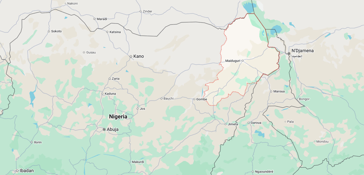 Libération massive d&rsquo;otages de Boko Haram au Nigeria : 400 femmes et enfants retrouvent la liberté