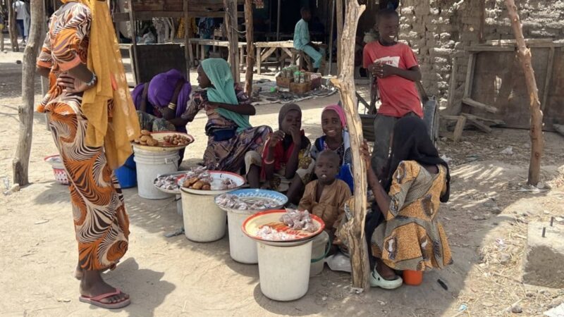 Nigeria : libération de centaines d&rsquo;otages par Boko Haram