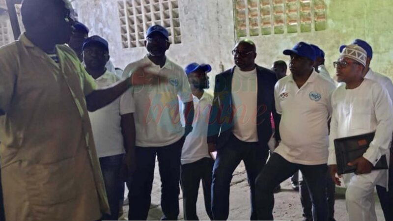 Douala : 35 vérificateurs de cacao formés pour renforcer la qualité des exportations camerounaises