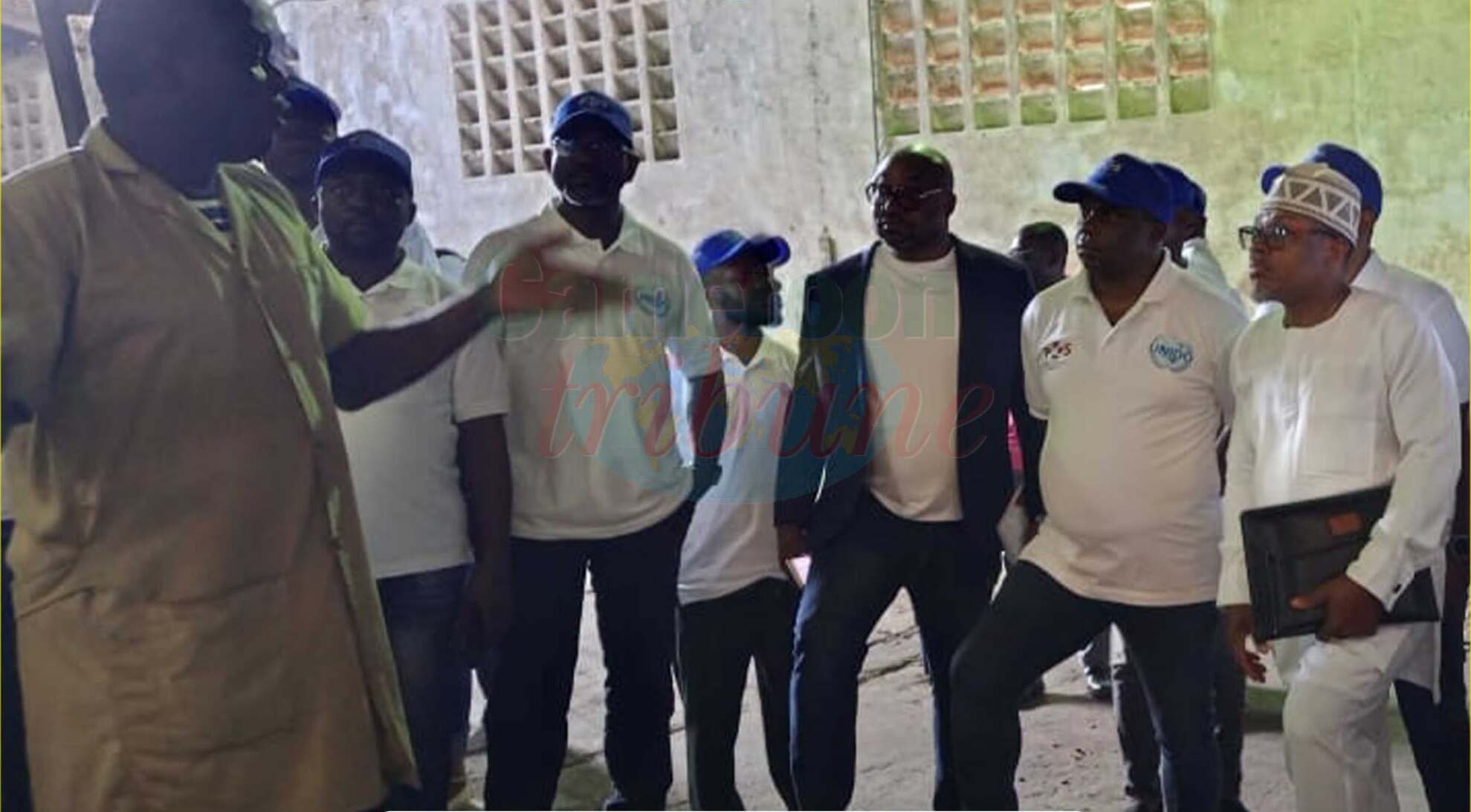 Douala : 35 vérificateurs de cacao formés pour renforcer la qualité des exportations camerounaises