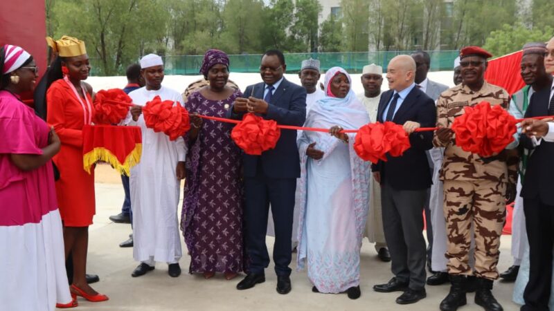 Parc de l’amitié Tchad-Chine : un joyau écologique au cœur de N&rsquo;Djamena