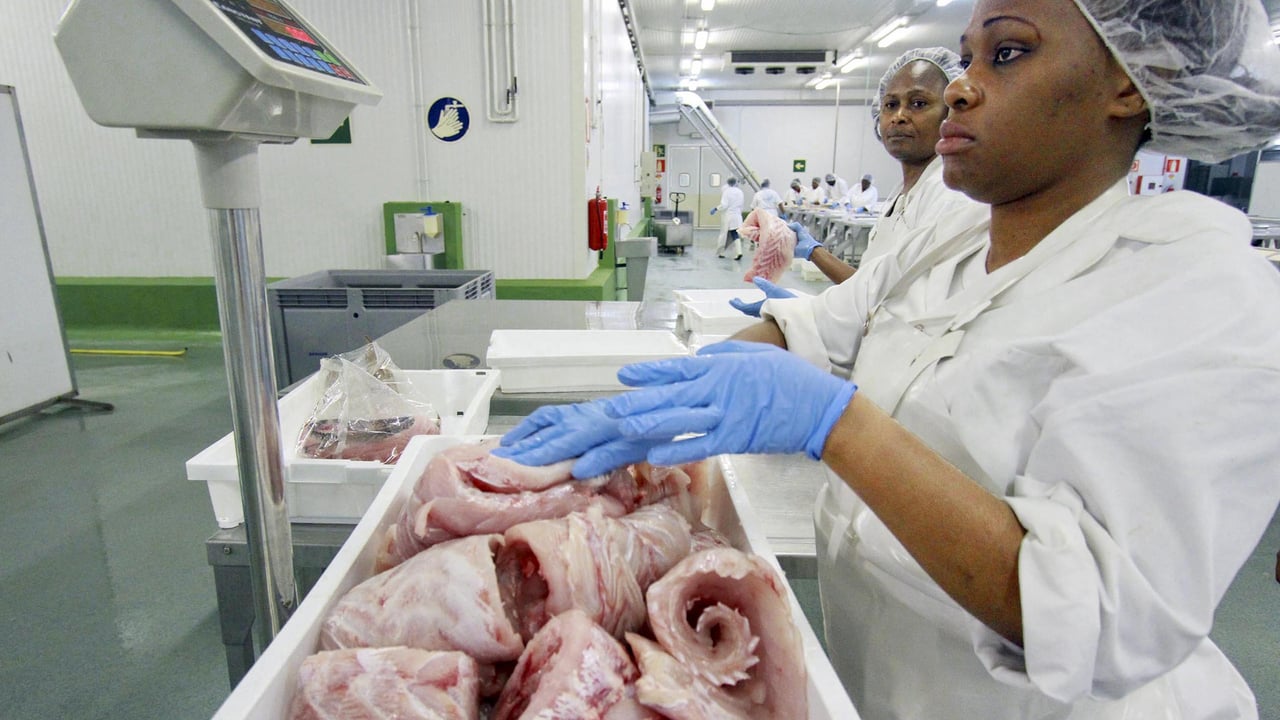 Gabon met fin à son accord de pêche avec l&rsquo;Union européenne