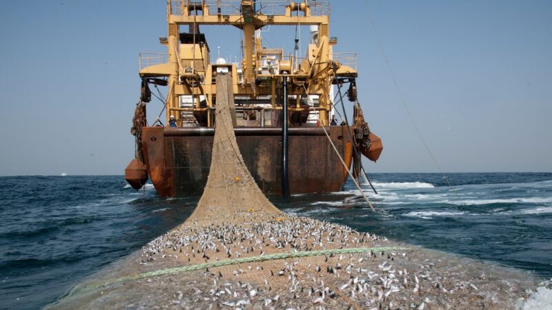 Le Gabon met fin à l&rsquo;accord de pêche avec l&rsquo;Union européenne