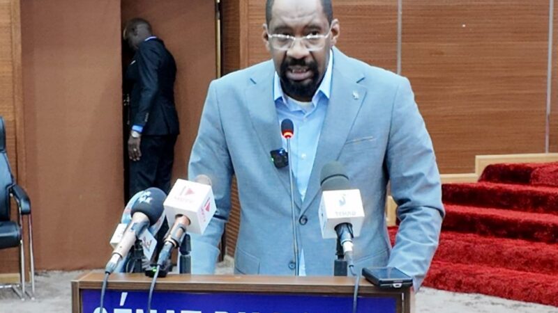 Tchad : sécurité intérieure, un dialogue tendu au sénat