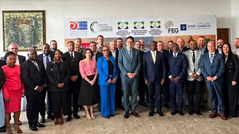 Le Gabon veut transformer sa richesse en puissance industrielle