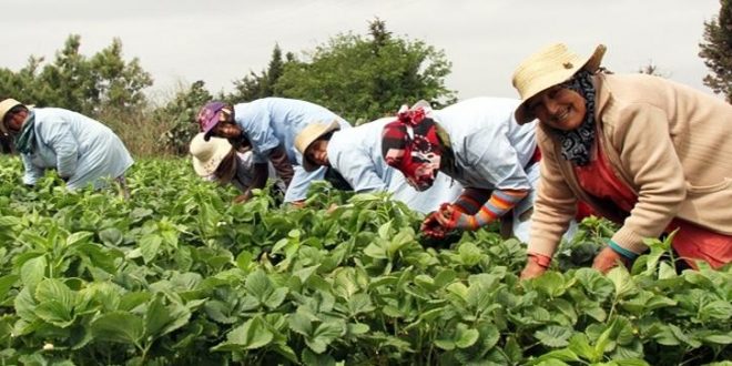 L&rsquo;économie du Maroc en forte progression avec une croissance de 4,9 % en 2025
