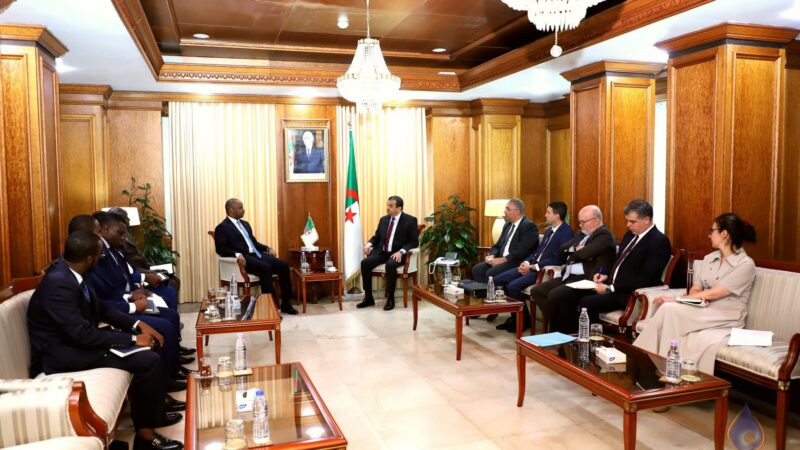 Renforcement des liens énergétiques : une délégation tchadienne en visite officielle à Alger