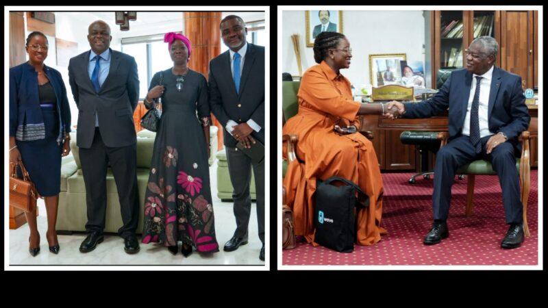 L&rsquo;expansion stratégique de Wave au Cameroun pour une finance inclusive