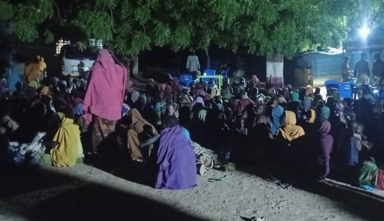 Libération massive de centaines d&rsquo;otages de Boko Haram dans le nord-est du Nigeria