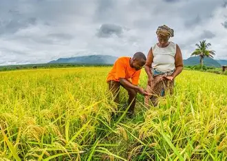 Le Bénin renforce son autonomie alimentaire grâce à un financement innovant