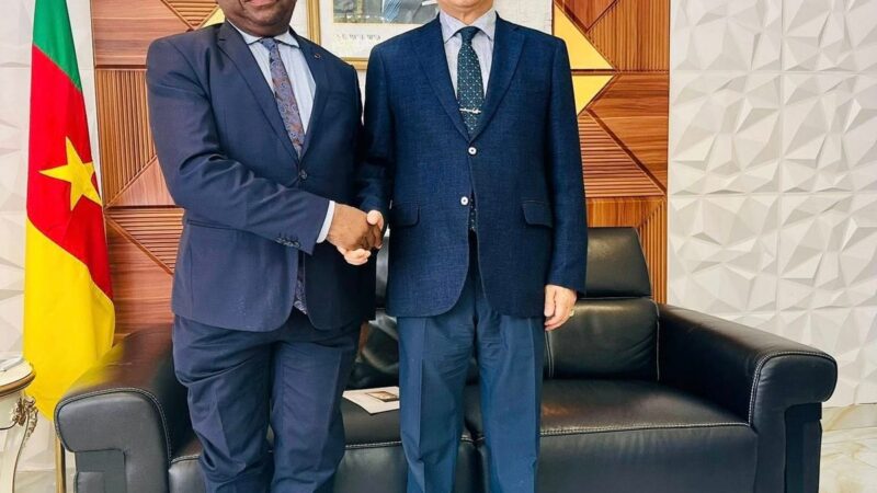 L&rsquo;industrie camerounaise s&rsquo;ouvre à des investissements massifs venus de Corée du Sud
