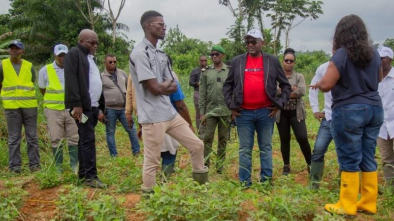 Comment la recherche scientifique gabonaise forge l&rsquo;indépendance alimentaire