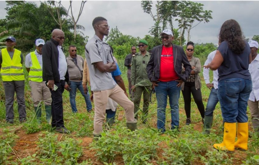Comment la recherche scientifique gabonaise forge l&rsquo;indépendance alimentaire