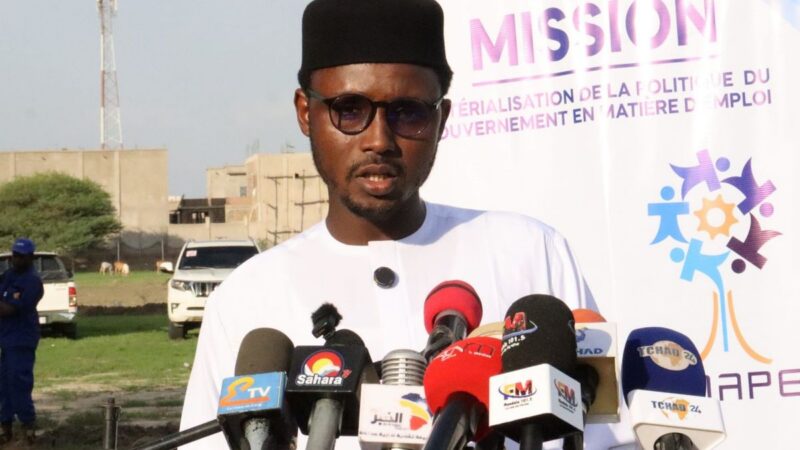 N&rsquo;Djamena : 200 jeunes s&rsquo;engagent dans les métiers verts avec l&rsquo;ONAPE