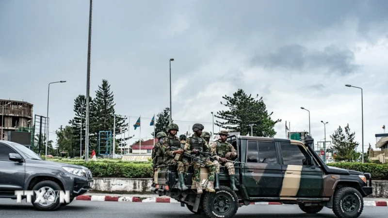 Violences persistantes en rdc : escalade dans le nord-kivu et menaces régionales