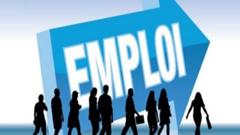 Emploi au Togo : Les 3 compétences les plus recherchées par les recruteurs en 2026