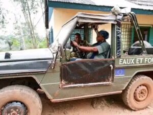CENTRAFRIQUE : les méthodes Wagner et le refus de payer les taxes d&rsquo;abattage, un nouveau défi pour l&rsquo;économie forestière