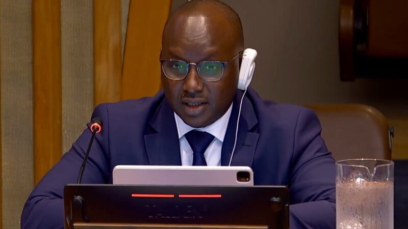 Le Sénégal dresse un bilan prometteur de ses objectifs de développement à l’ONU